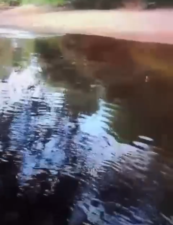 Viral! Sungai Desa Kurup OKU Hitam Pekat Diduga Tercemar Limbah PT KIT, Warga Alami Gatal-Gatal