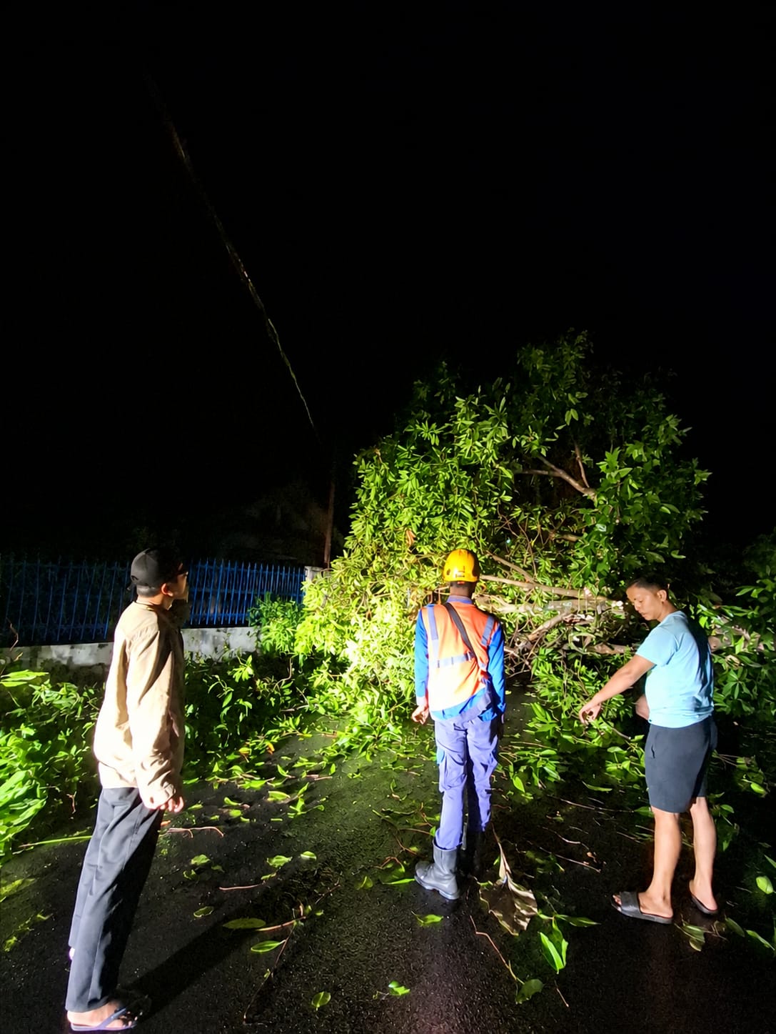 PLN ULP Lembayung Lakukan Pemulihan Gangguan Listrik Akibat Pohon Tumbang di Beberapa Titik Wilayah di Kabupaten Lahat