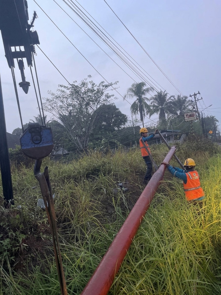 Pohon Tumbang Menimpa Jaringan Listrik Saat Cuaca Ekstrem, PLN ULP Muara Enim Bergerak Cepat dan Bekerja Ekstra Lakukan Pemulihan